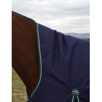 Coperta Weatherbeeta ComFiTec Plus Dynamic Turnout 100 g collo alto Verde foresta / blu navy