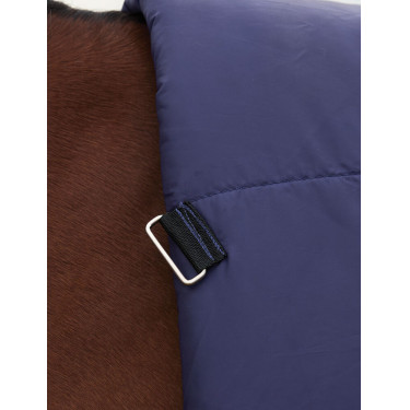 Coperta Weatherbeeta ComFiTec Plus Dynamic Turnout 100 g collo alto Blu marino / verde foresta