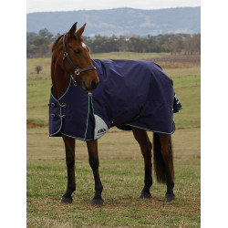Coperta Weatherbeeta ComFiTec Plus Dynamic Turnout 100 g collo alto Blu marino / verde foresta