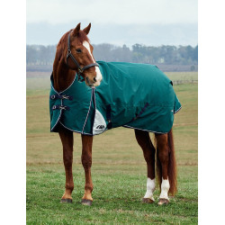 Coperta Weatherbeeta ComFiTec Plus Dynamic Turnout 220 g collo alto Verde foresta / blu navy