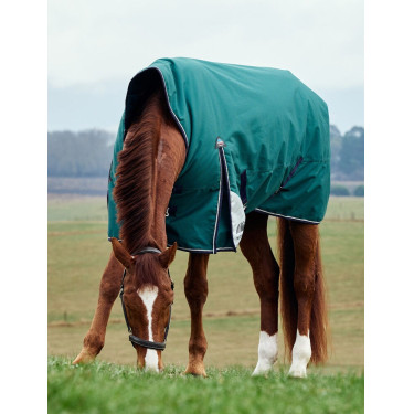Coperta Weatherbeeta ComFiTec Plus Dynamic Turnout 220 g collo alto Verde foresta / blu navy Coperta Weatherbeeta ComFiTec Plus Dynamic Turnout 220 g collo alto Verde foresta / blu navy