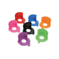 Capezzina Shires Capezzina Shires