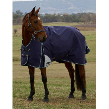 Coperta Weatherbeeta ComFiTec Plus Dynamic Turnout 220 g collo alto Blu marino / verde foresta
