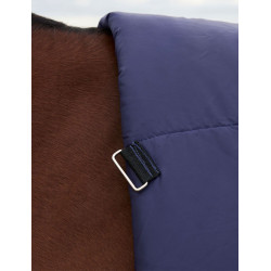 Coperta Weatherbeeta ComFiTec Plus Dynamic Turnout 220 g collo alto Blu marino / verde foresta