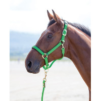 Cavezza in nylon Topaz Shires Verde