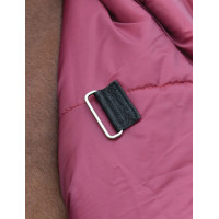 Coperta Weatherbeeta ComFiTec Prelim Turnout 220 g Borgogna / blu navy Coperta Weatherbeeta ComFiTec Prelim Turnout 220 g Borgogna / blu navy