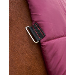 Coperta Weatherbeeta ComFiTec Prelim Turnout Combo 220 g Borgogna / blu navy