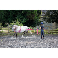 Frusta Chambrière Shires 160 cm