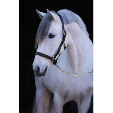 Capezzina in cuoio Eco Covalliero Marrone Capezzina in cuoio Eco Covalliero Marrone