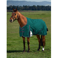 Coperta Weatherbeeta ComFiTec Plus Dynamic Turnout 220 g Verde foresta / blu navy Coperta Weatherbeeta ComFiTec Plus Dynamic Turnout 220 g Verde foresta / blu navy