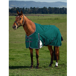 Coperta Weatherbeeta ComFiTec Plus Dynamic Turnout 220 g Verde foresta / blu navy