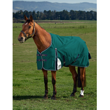 Coperta Weatherbeeta ComFiTec Plus Dynamic Turnout 220 g Verde foresta / blu navy Coperta Weatherbeeta ComFiTec Plus Dynamic Turnout 220 g Verde foresta / blu navy