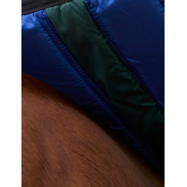 Coperta Weatherbeeta ComFiTec Plus Dynamic Turnout 220 g Verde foresta / blu navy Coperta Weatherbeeta ComFiTec Plus Dynamic Turnout 220 g Verde foresta / blu navy
