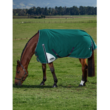 Coperta Weatherbeeta ComFiTec Plus Dynamic Turnout 220 g Verde foresta / blu navy Coperta Weatherbeeta ComFiTec Plus Dynamic Turnout 220 g Verde foresta / blu navy