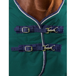 Coperta Weatherbeeta ComFiTec Plus Dynamic Turnout 220 g Verde foresta / blu navy Coperta Weatherbeeta ComFiTec Plus Dynamic Turnout 220 g Verde foresta / blu navy