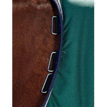 Coperta Weatherbeeta ComFiTec Plus Dynamic Turnout 220 g Verde foresta / blu navy Coperta Weatherbeeta ComFiTec Plus Dynamic Turnout 220 g Verde foresta / blu navy