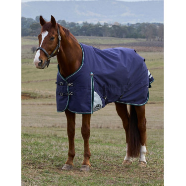 Coperta Weatherbeeta ComFiTec Plus Dynamic Turnout 220 g Blu marino / verde foresta