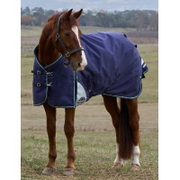 Coperta Weatherbeeta ComFiTec Plus Dynamic Turnout 220 g Blu marino / verde foresta