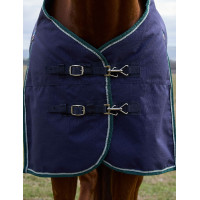 Coperta Weatherbeeta ComFiTec Plus Dynamic Turnout 220 g Blu marino / verde foresta