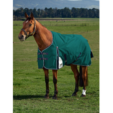 Coperta Weatherbeeta ComFiTec Plus Dynamic Turnout 100 g Verde foresta / blu navy Coperta Weatherbeeta ComFiTec Plus Dynamic Turnout 100 g Verde foresta / blu navy