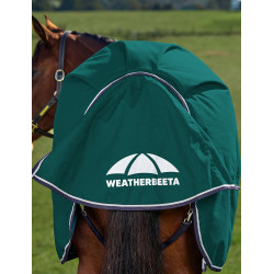 Coperta Weatherbeeta ComFiTec Plus Dynamic Turnout 100 g Verde foresta / blu navy Coperta Weatherbeeta ComFiTec Plus Dynamic Turnout 100 g Verde foresta / blu navy