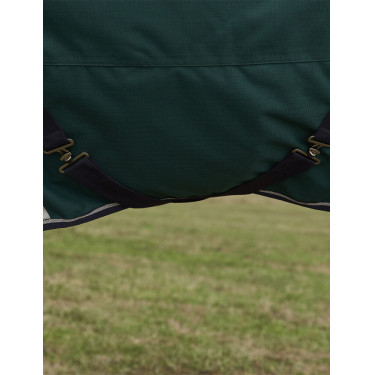 Coperta Weatherbeeta ComFiTec Plus Dynamic Turnout 100 g Verde foresta / blu navy Coperta Weatherbeeta ComFiTec Plus Dynamic Turnout 100 g Verde foresta / blu navy