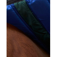 Coperta Weatherbeeta ComFiTec Plus Dynamic Turnout 100 g Verde foresta / blu navy