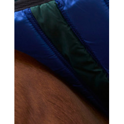 Coperta Weatherbeeta ComFiTec Plus Dynamic Turnout 100 g Verde foresta / blu navy Coperta Weatherbeeta ComFiTec Plus Dynamic Turnout 100 g Verde foresta / blu navy