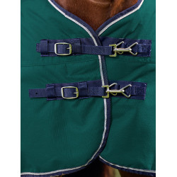 Coperta Weatherbeeta ComFiTec Plus Dynamic Turnout 100 g Verde foresta / blu navy Coperta Weatherbeeta ComFiTec Plus Dynamic Turnout 100 g Verde foresta / blu navy