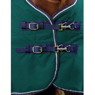 Coperta Weatherbeeta ComFiTec Plus Dynamic Turnout 100 g Verde foresta / blu navy Coperta Weatherbeeta ComFiTec Plus Dynamic Turnout 100 g Verde foresta / blu navy
