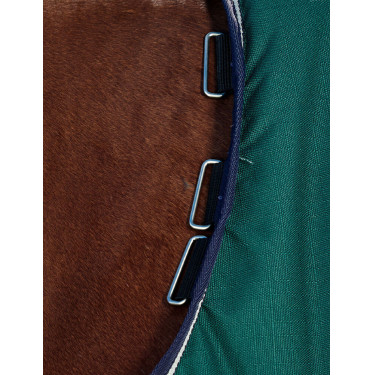 Coperta Weatherbeeta ComFiTec Plus Dynamic Turnout 100 g Verde foresta / blu navy Coperta Weatherbeeta ComFiTec Plus Dynamic Turnout 100 g Verde foresta / blu navy