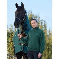 Maglia in pile Dublin da donna con zip 1/4 Verde smeraldo scuro