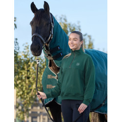 Maglia in pile Dublin da donna con zip 1/4 Verde smeraldo scuro