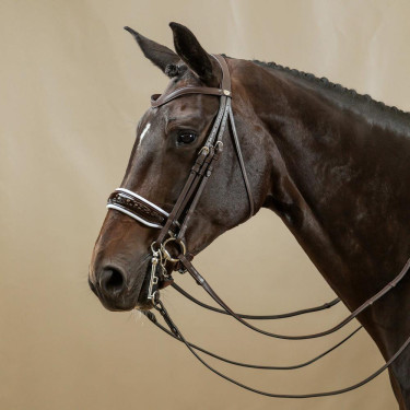 Briglia Working di Dy'on Capezzina Larga Lucida Fodera Bianca Marrone Briglia Working di Dy'on Capezzina Larga Lucida Fodera Bianca Marrone