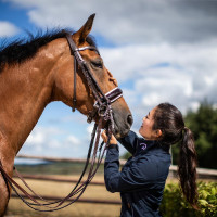 Briglia Working di Dy'on Capezzina Larga Lucida Fodera Bianca Nero Briglia Working di Dy'on Capezzina Larga Lucida Fodera Bianca Nero