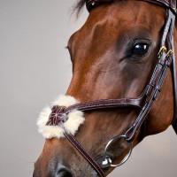 Briglia Capezzina Incrociata Intrecciata Collezione D Dy'on Nero Briglia Capezzina Incrociata Intrecciata Collezione D Dy'on Nero