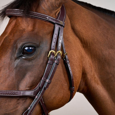 Briglia Capezzina Incrociata Intrecciata Collezione D Dy'on Marrone