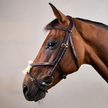 Briglia Capezzina Incrociata Intrecciata Collezione D Dy'on Marrone