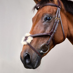 Briglia Capezzina Incrociata Intrecciata Collezione D Dy'on Marrone