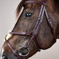 Briglia Capezzina Incrociata Intrecciata New English Collection Dy'on Marrone