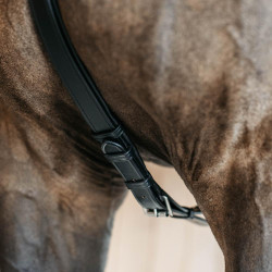 Pettorale a 5 punti con elastici New English Collection Dy'on Nero