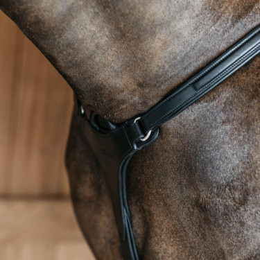 Pettorale a 5 punti con elastici New English Collection Dy'on Nero