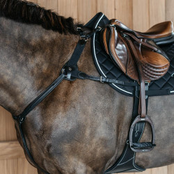 Pettorale a 5 punti con elastici New English Collection Dy'on Nero