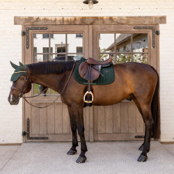 Cuffia antimosche Kentucky Wellington Velvet Mini Perle Verde abete Cuffia antimosche Kentucky Wellington Velvet Mini Perle Verde abete