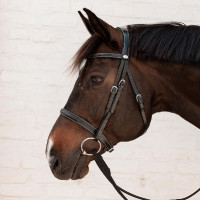 Briglia Hunter Dy'on Nero Briglia Hunter Dy'on Nero
