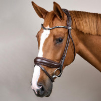 Briglia con capezzina larga in morbida pelle Dy’on Marrone Briglia con capezzina larga in morbida pelle Dy’on Marrone