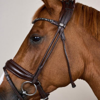 Briglia con capezzina larga in morbida pelle Dy’on Marrone Briglia con capezzina larga in morbida pelle Dy’on Marrone