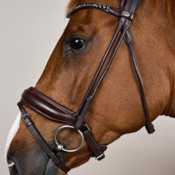 Briglia con capezzina larga in morbida pelle Dy’on Marrone