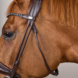 Briglia con capezzina larga in morbida pelle Dy’on Marrone