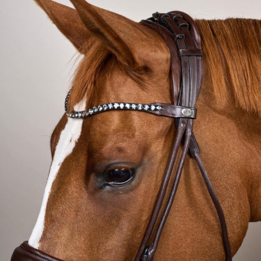 Briglia con capezzina larga in morbida pelle Dy’on Marrone